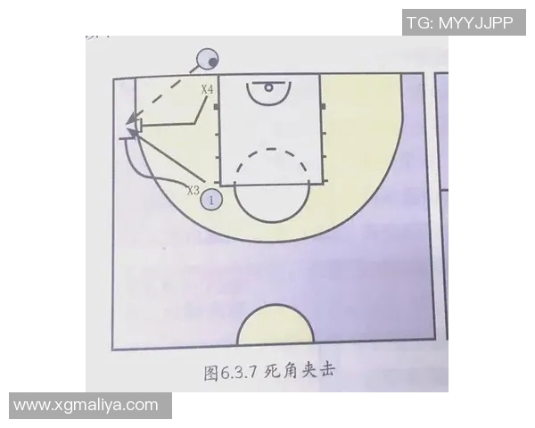 深圳排球队区域防守策略解析与战术创新探讨